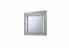 Picture of PLATINUM MIRROR