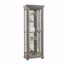 Picture of GREY SLIDING DOOR CURIO