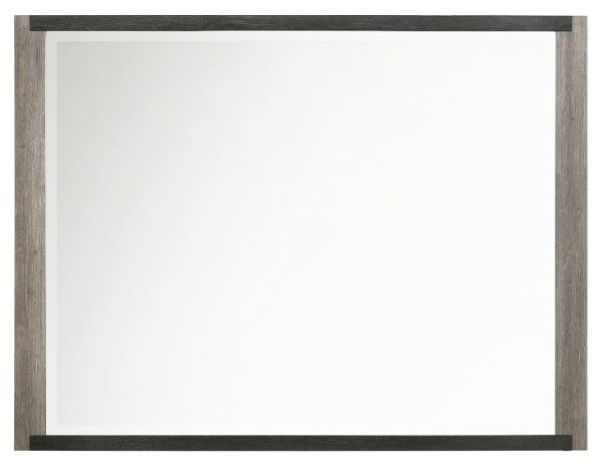Picture of CARTER MIRROR