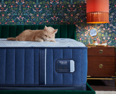 Picture for category STEARNS & FOSTER