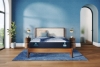 Picture of SERTA ELANA FIRM QUEEN MATTRESS