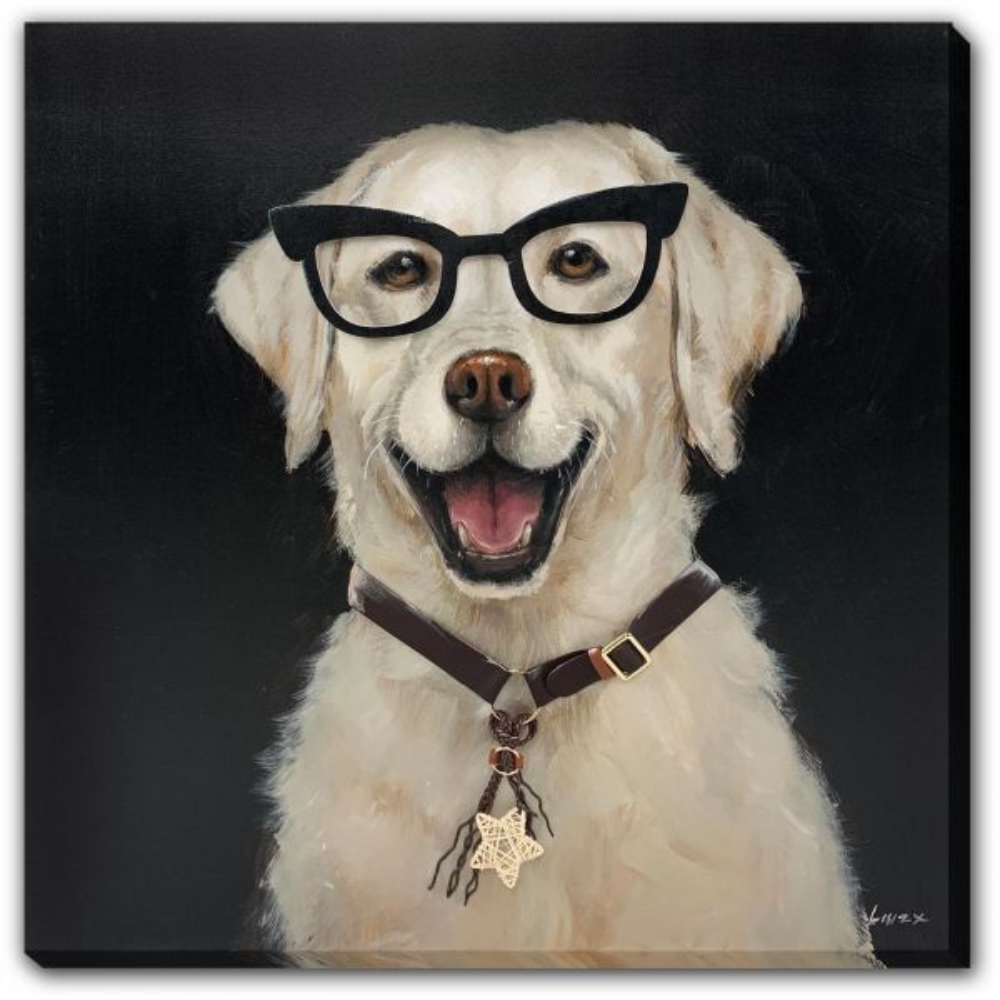 Picture of DOG WITH GLASSES PICTURE