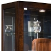 Picture of DARK BROWN CURVED FRONT CURIO